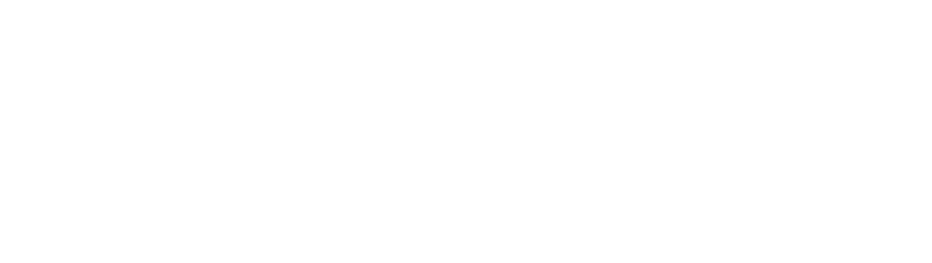 nord security logo